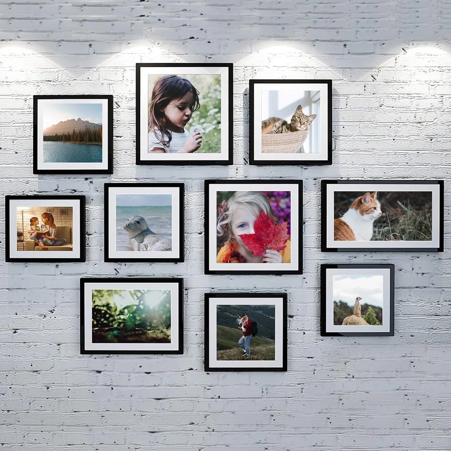 5 Piece Picture Frame Set